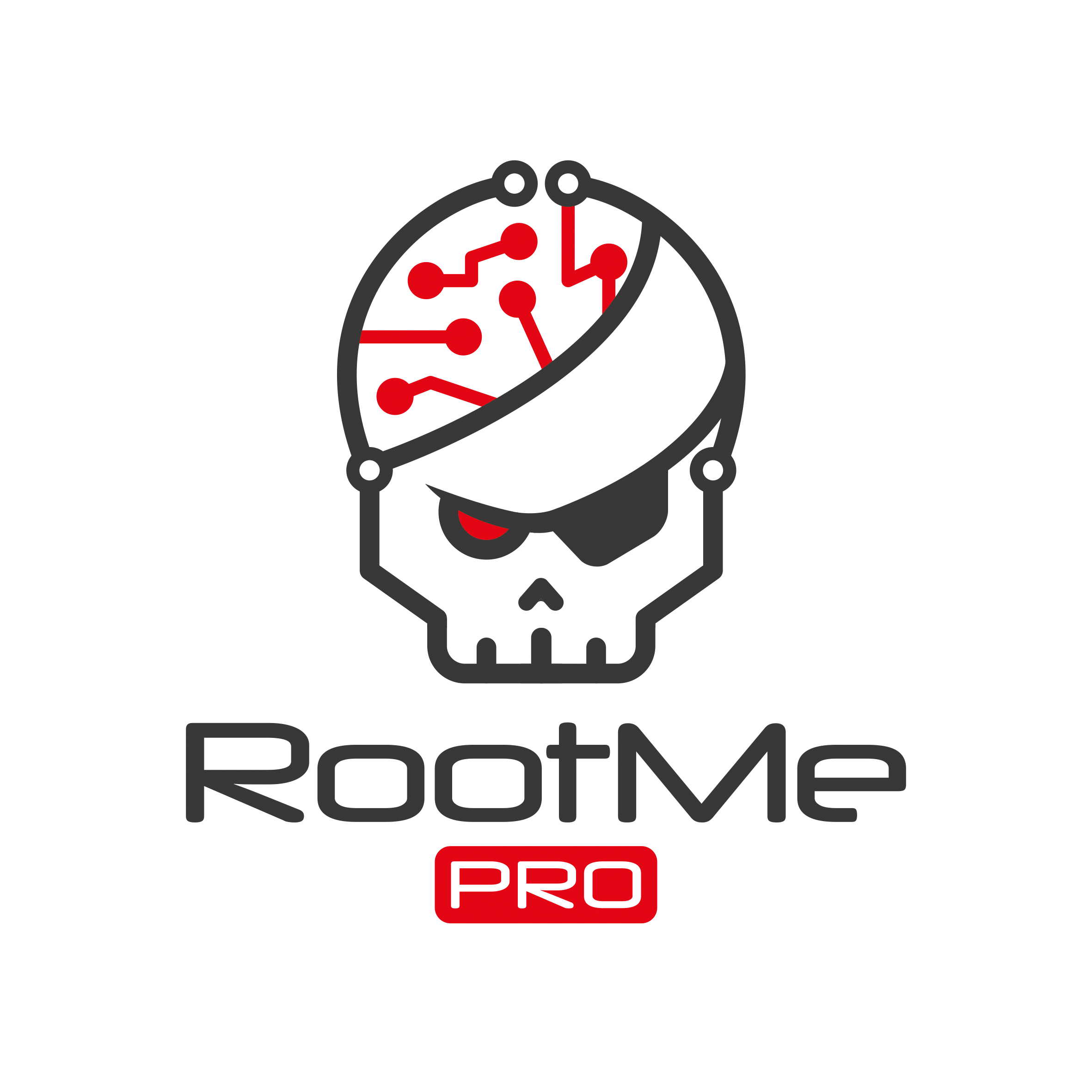 Root-Me PRO